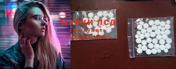 ешки Горняк