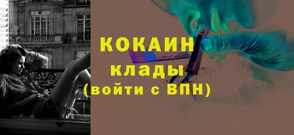 ешки Горняк