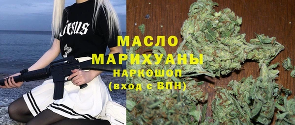 гидра Горнозаводск