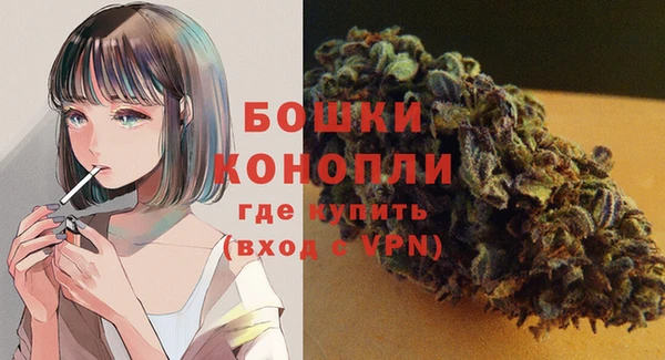 ешки Горняк
