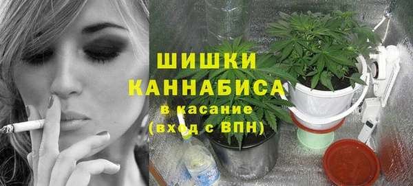 ешки Горняк
