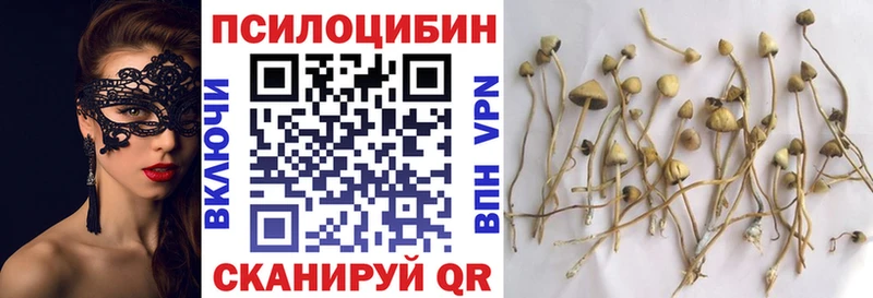Галлюциногенные грибы Magic Shrooms  Москва 